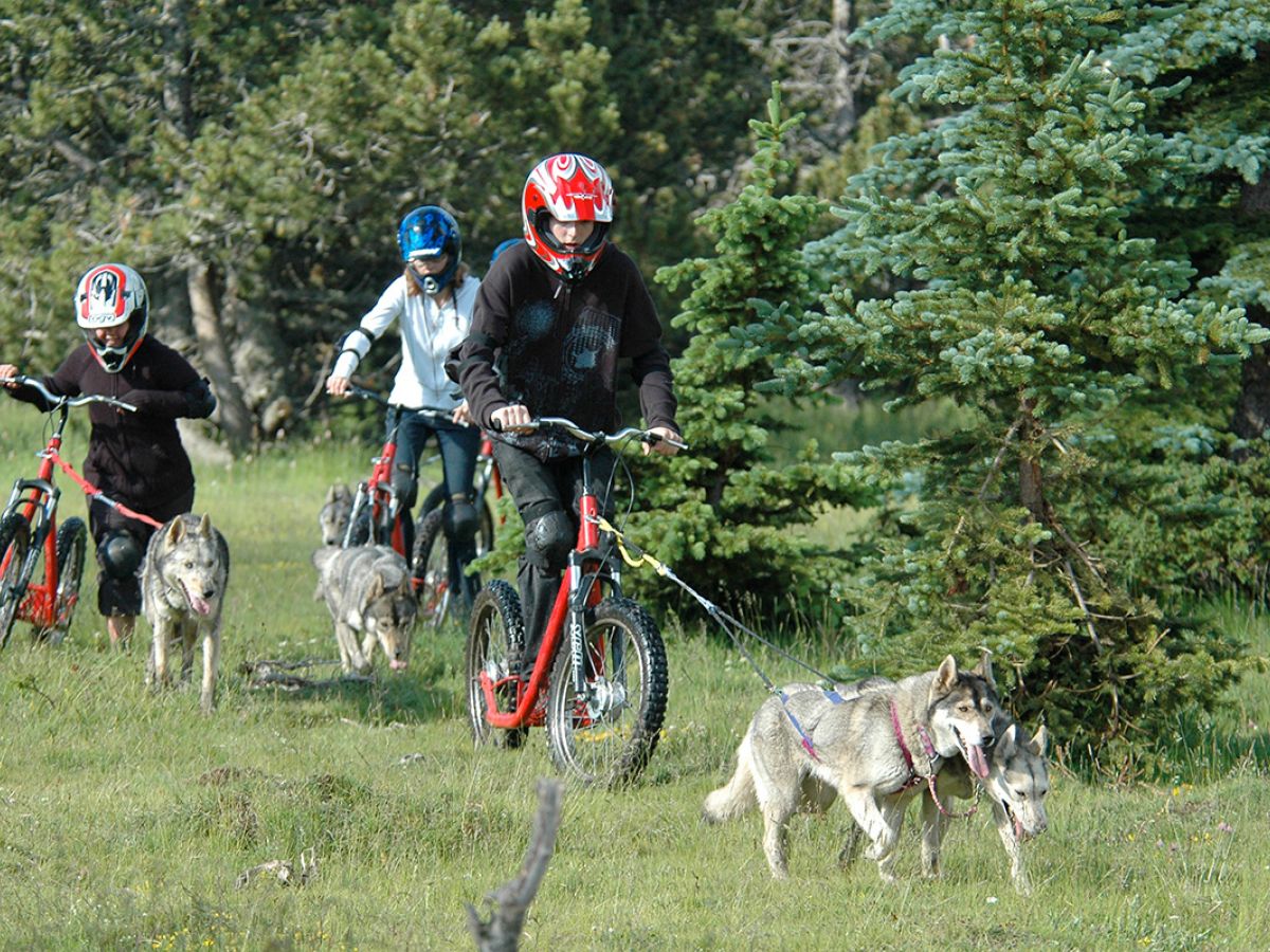 Cani Vélo VTT