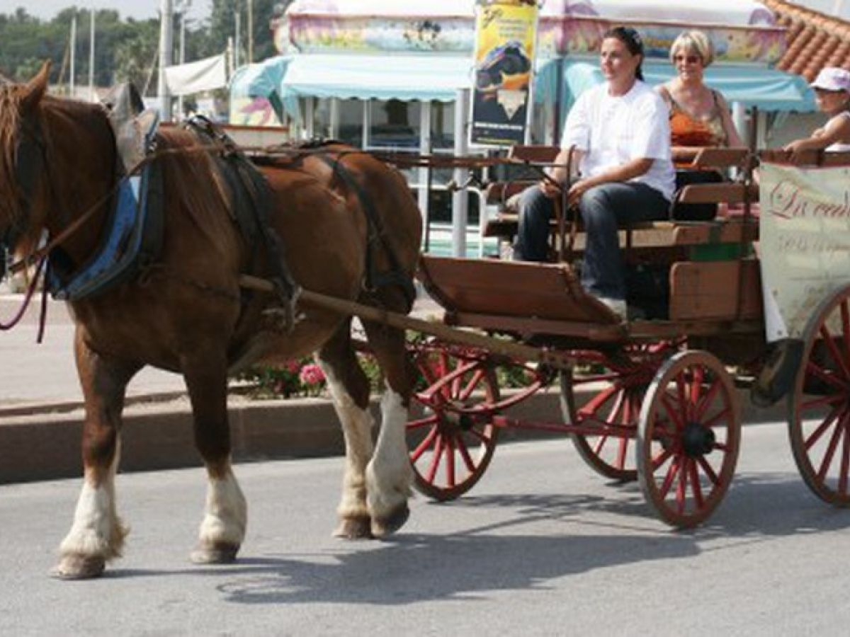 Caléche Saint Cyprien